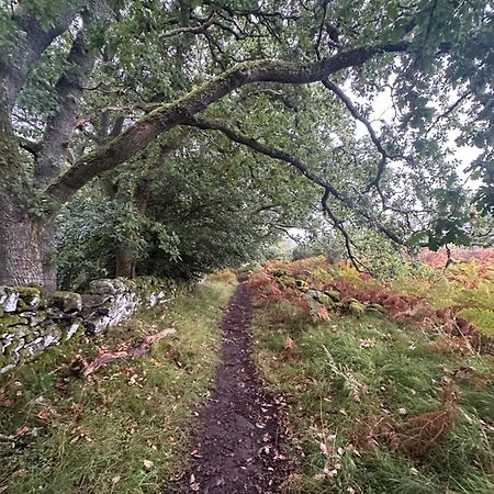 Red Squirrel Cottage Strathtay Экстерьер фото